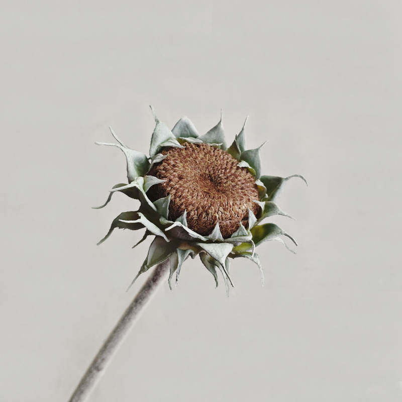 High Quality Artificial Sunflower Real Touch Artificial Flowers Decorative Flowers, Wreaths and Plants Wedding Decoration