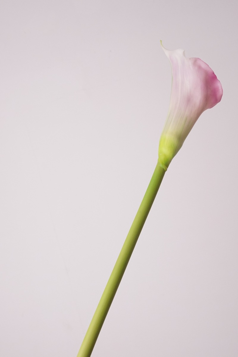 Calla Lily Artificial Flowers Real Touch Wedding Decoration Wedding Flowers Real Touch Flowers